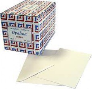 8005427002226_2023
