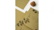 Favini_Calligraphy-Nature-Crush-3