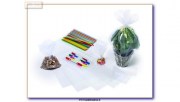 Riplast_v_8004428416414